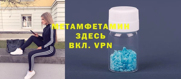 прущие грибы Касимов