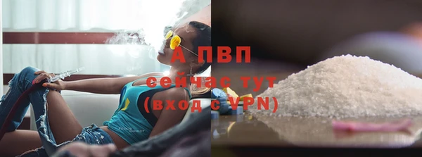 PSILOCYBIN Карпинск