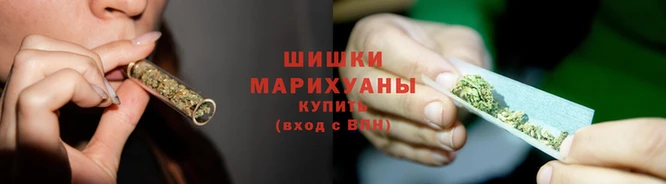 прущие грибы Касимов