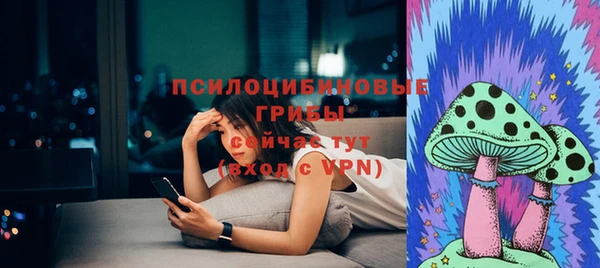 прущие грибы Касимов