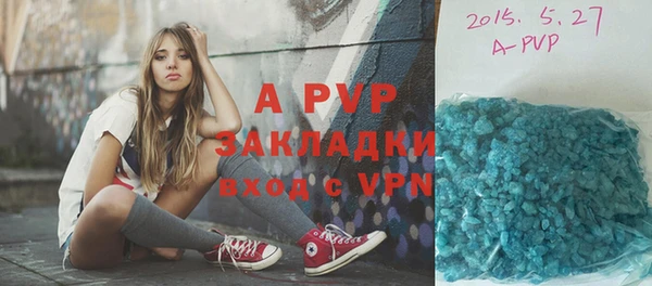 прущие грибы Касимов