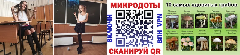 Псилоцибиновые грибы Cubensis  Купить  Усть-Джегута 